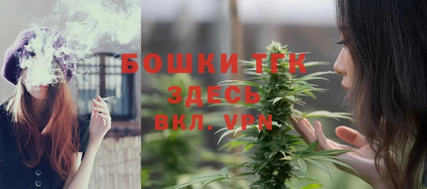 mdpv Богородицк