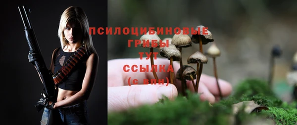 МДМА Богданович