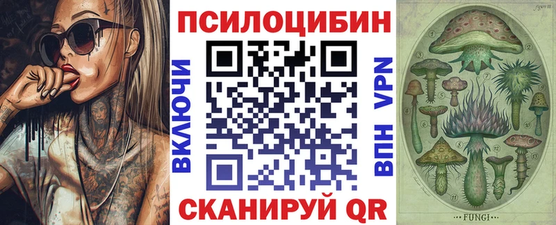 Галлюциногенные грибы GOLDEN TEACHER  Купить закладки  Балей 