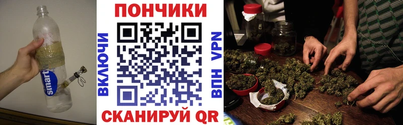 Купить где  Балей  МАРИХУАНА ГИДРОПОН 